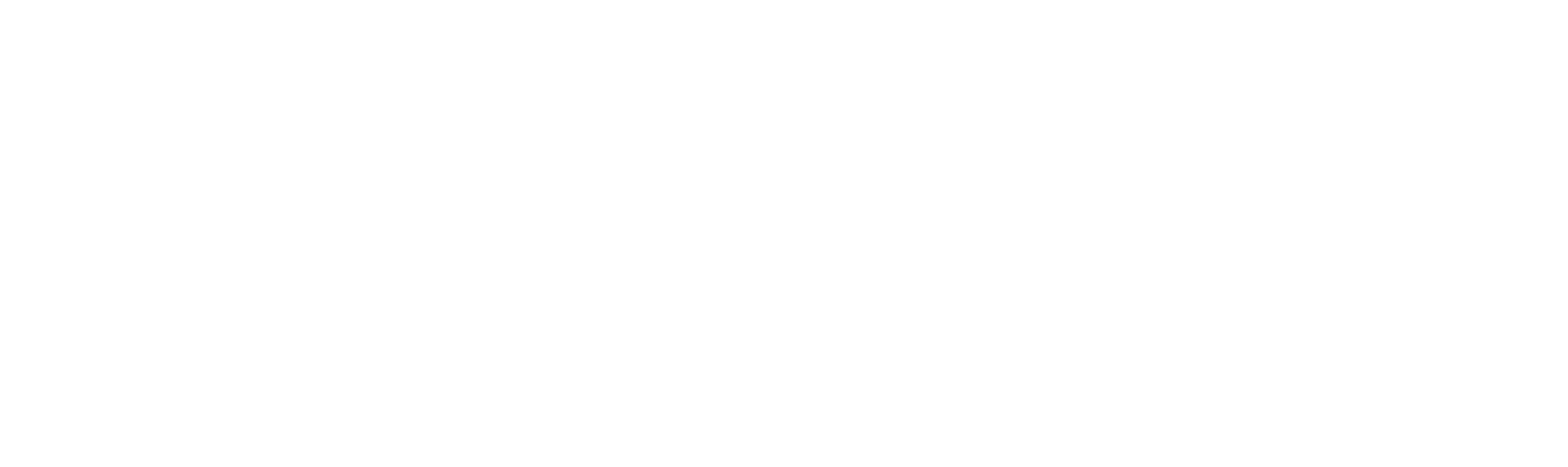 Bergin Motion Logo
