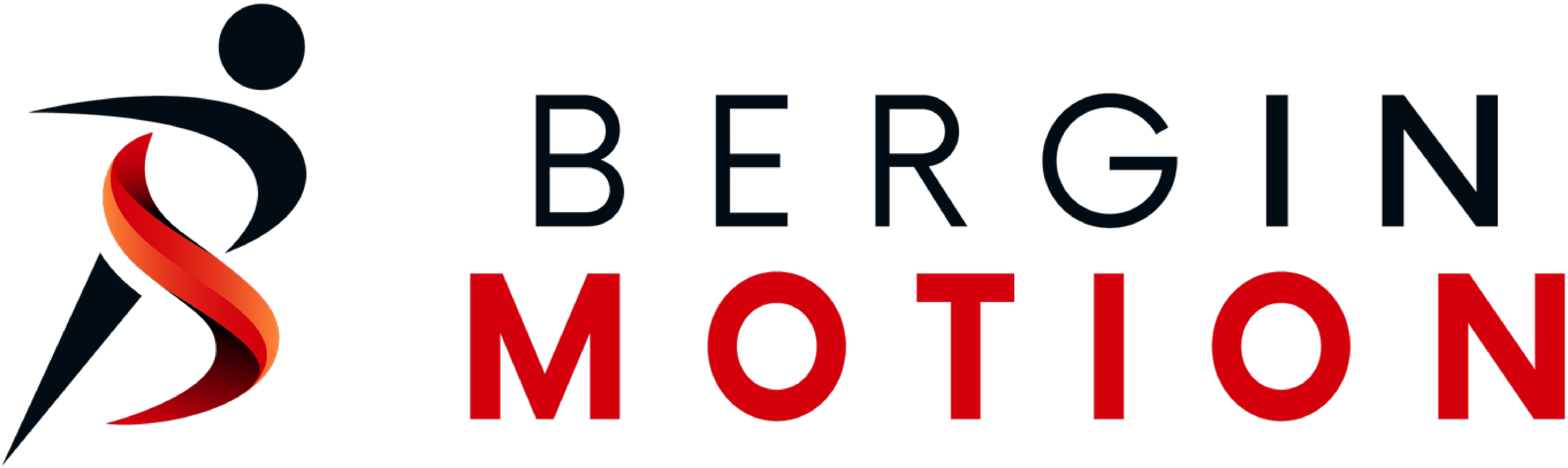 Bergin Motion Logo